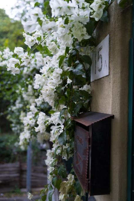 Genova Garden, Vicino Al Gaslini E Boccadasse Lejlighed Eksteriør billede